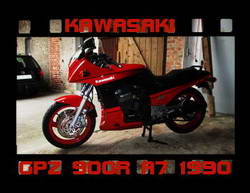 GPZ900R rot buuton 2