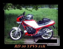 RD 350 YPVS Button